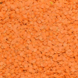 Šošovica červená polená