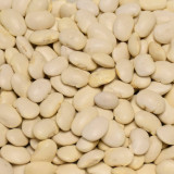 Fazuľa veľká biela