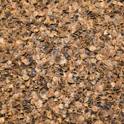 Pohankové slupky výplň 10 kg