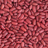 Fazole malá červená ledvina Život bez lepku